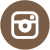 icone_instagram
